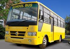 Stag School Bus 2